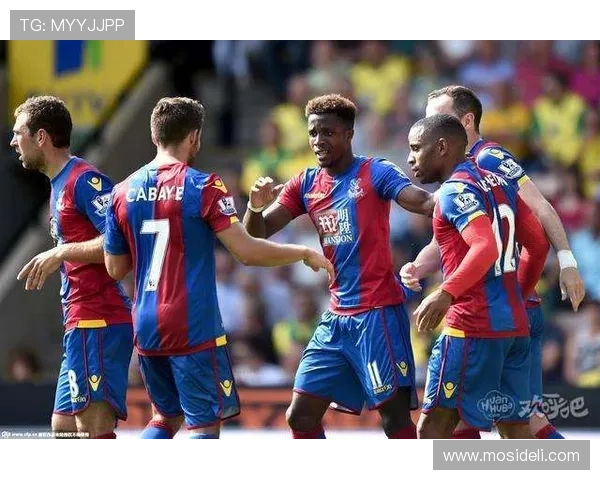 水晶宫队历史数据统计与分析，助你深入了解球队的战绩与发展轨迹